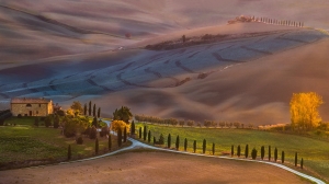 Salon Honorable Mention